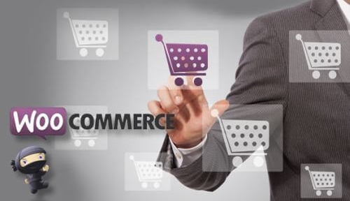 WooCommerce Website Development in Memnagar, Best SEO Company in Memnagar
